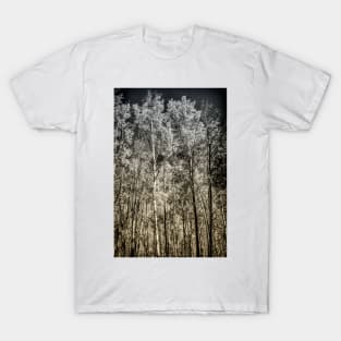 Into The Woods T-Shirt